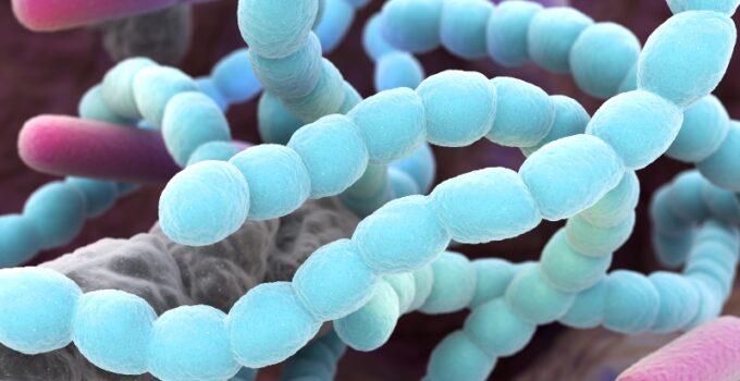 bacteriën in de mond